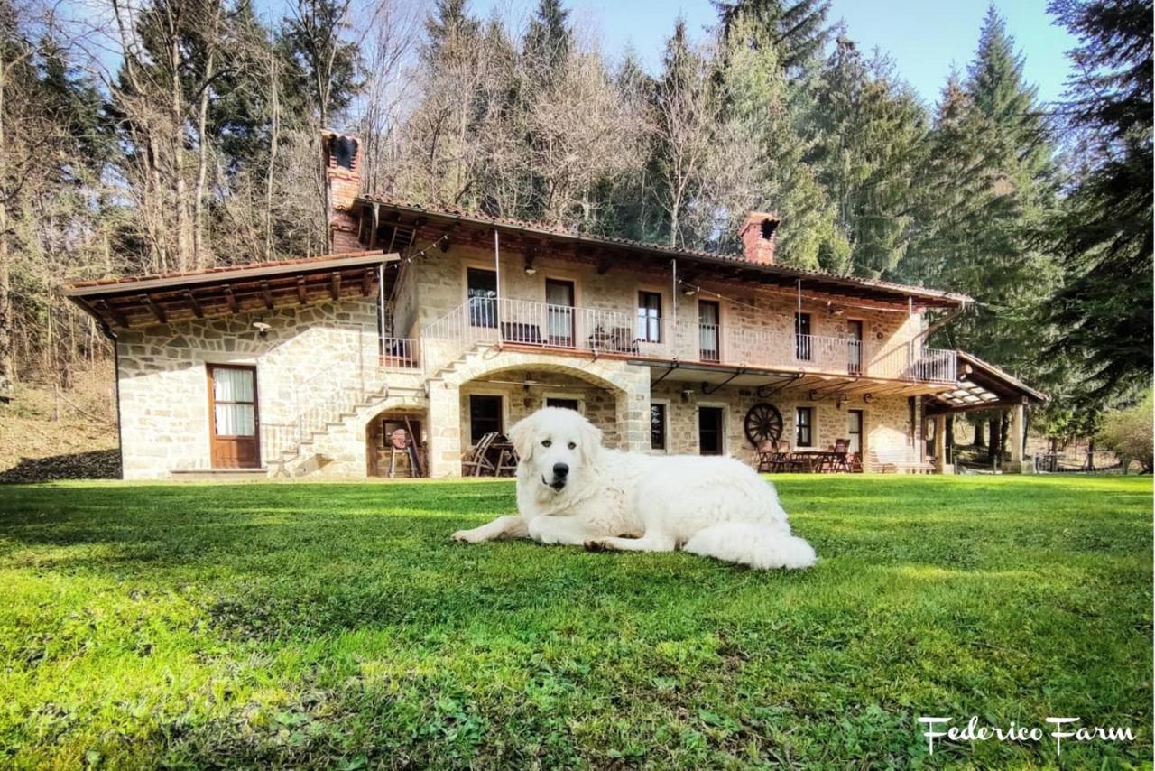 Vila La Casa Del Sarto - Federicofarm Pontremoli Exteriér fotografie